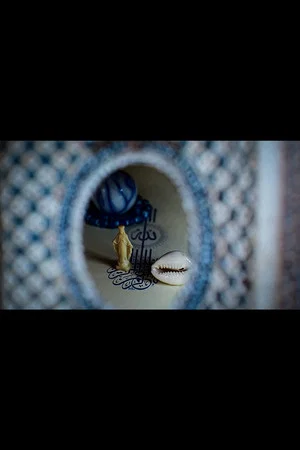 Постер: Shell Fables ~ a Curious Cabinet of Beings & Becoming