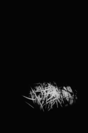 Постер: Nightfall