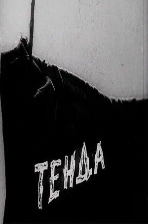 Постер: Shelter