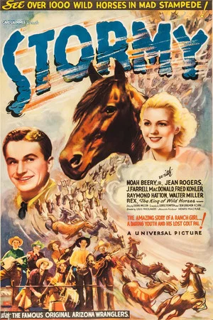 Постер: Stormy