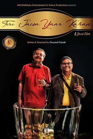 Постер: Tere Jaisa Yaar Kahan