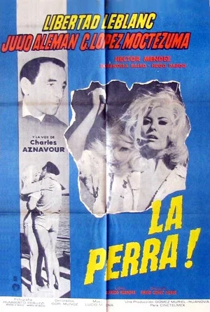 Постер: La perra