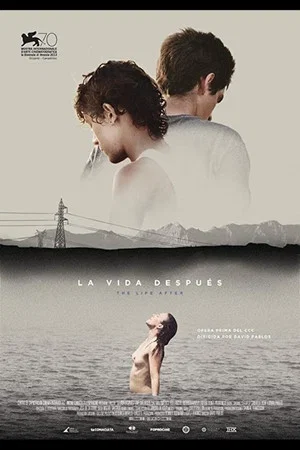 Постер: The Life After