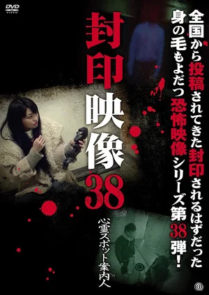 Постер: Sealed Video 38: Spirit Spot Guide