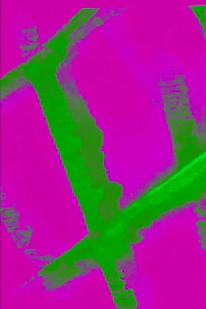 Постер: Trames 2 - All Over