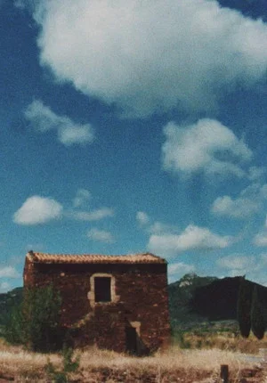 Постер: Au sud
