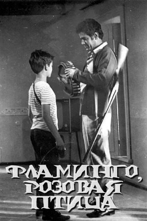 Постер: Фламинго, розовая птица
