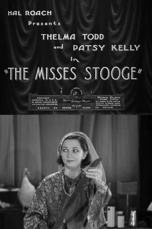Постер: The Misses Stooge
