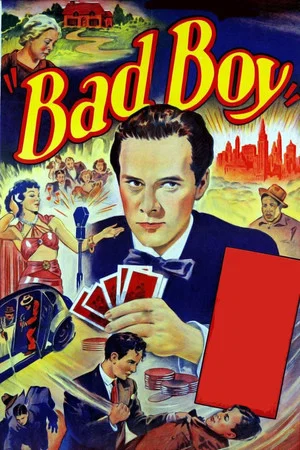 Постер: Bad Boy