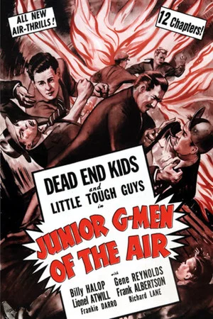 Постер: Junior G-Men of the Air