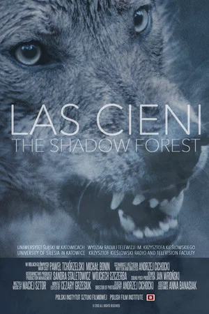 Постер: Las cieni