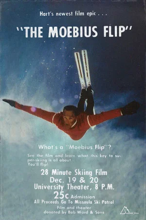 Постер: The Moebius Flip