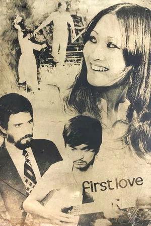 Постер: First Love