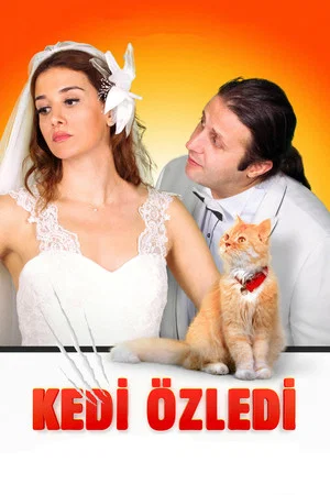 Постер: Kedi Özledi