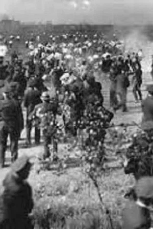 Постер: Republic Steel Strike Riots Newsreel Footage