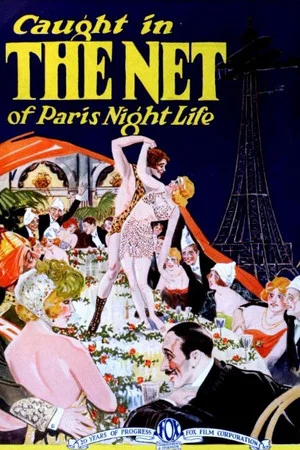 Постер: The Net