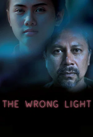 Постер: The Wrong Light