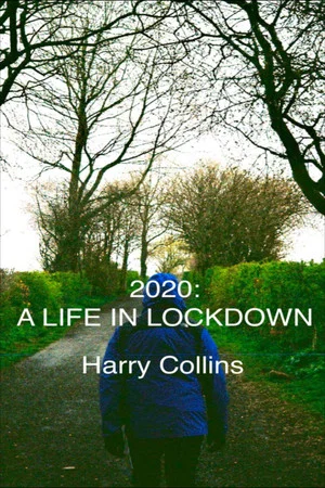 Постер: 2020: A LIFE IN LOCKDOWN