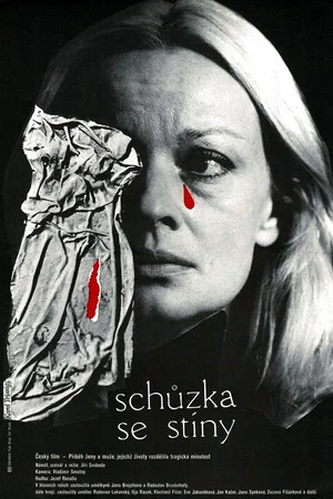 Постер: Schůzka se stíny