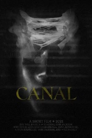 Постер: Canal