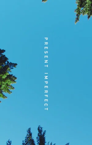 Постер: Present Imperfect