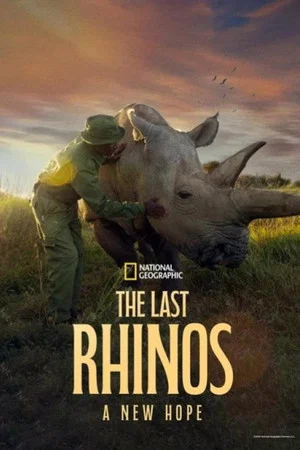 Постер: The Last Rhinos: A New Hope