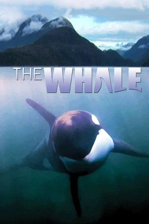 Постер: The Whale