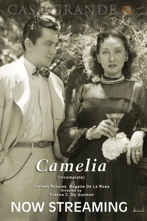 Постер: Camelia