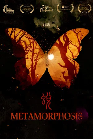 Постер: Metamorphosis