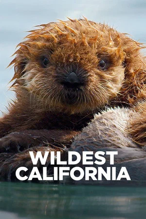 Постер: Wildest California