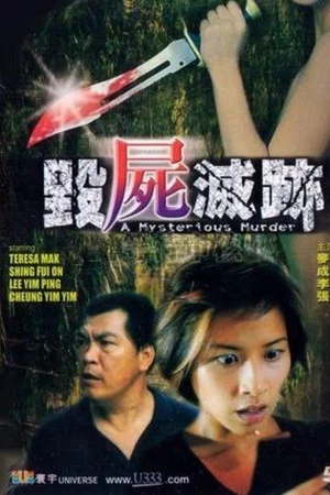 Постер: A Mysterious Murder