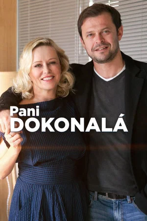 Постер: Pani Dokonalá