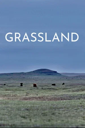 Постер: Grassland