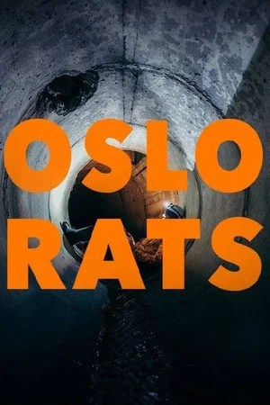 Постер: Oslo Rats