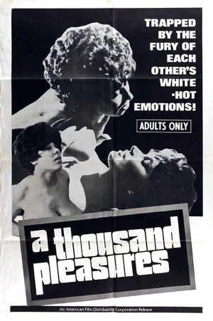 Постер: A Thousand Pleasures