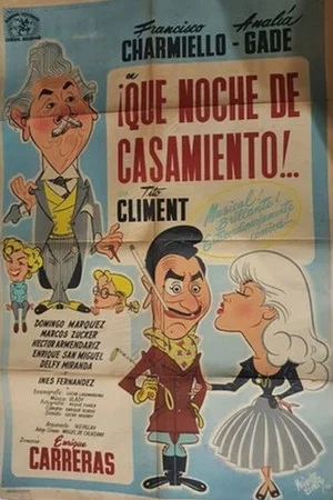 Постер: ¡Qué noche de casamiento!