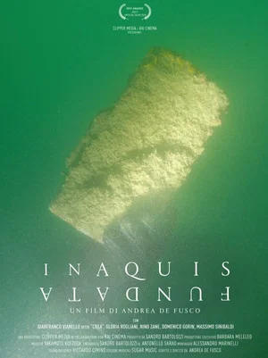 Постер: In Aquis Fundata