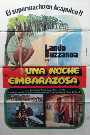 Постер: Una noche embarazosa