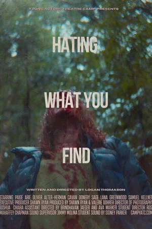 Постер: Hating What You Find
