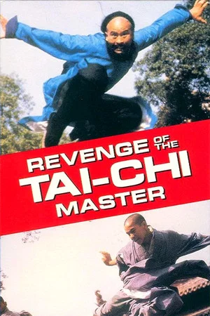 Постер: Secret of Tai Chi