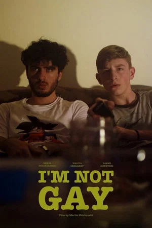 Постер: I’m Not Gay