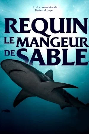 Постер: Requin - Le mangeur de sable