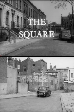 Постер: The Square