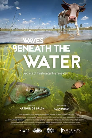 Постер: Waves Beneath The Water, Secrets of freshwater life revealed