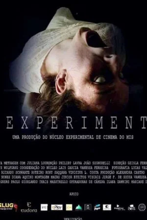 Постер: The Experiment