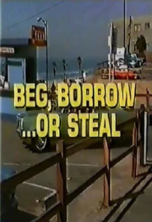 Постер: Beg, Borrow...or Steal