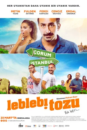 Постер: Leblebi Tozu