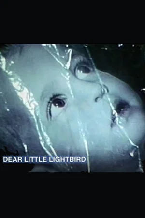 Постер: Dear Little Lightbird