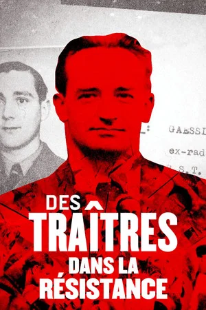 Постер: Des traîtres dans la Résistance