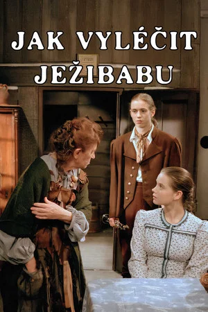 Постер: Jak vyléčit Ježibabu